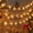 A504 christmas decorations under 5$, variant on Christmas Light String under $5! CQCYD Christmas Reindeer Light String, Battery Powered LED Fairy Lights for Indoor Outdoor, Snowflake Themed Xmas Decor, 59-Inch Holiday Party Lights