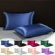 thumbnail image 1 of Funda de Almohada Corporal Suave y Transpirable de Terciopelo para Personas Calurosas | 2 Fundas de Almohada de Tela Azul de 51X75Cm | Juego de 2 Fundas de Almohada de Cuerpo Entero para Todas Las Es, 1 of 6