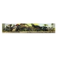 thumbnail image 1 of Set Dinosaurio Adventure Force sin Movimiento 12 Piezas, 1 of 2