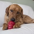thumbnail image 3 of KONG® Snacks Natural Dog Treats, Peanut Butter, Small, 3 of 6