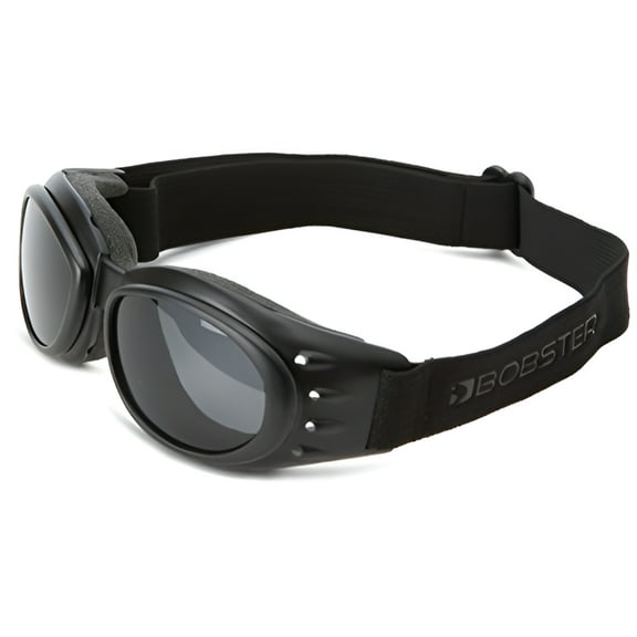 Cruiser 2 Goggle 3 Lenses