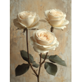 thumbnail image 1 of Qisvanset 12x16 Inch White Rose Floral Canvas Wall Art, Vintage Rustic Charm Romantic Nature Home Decor, 1 of 8
