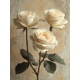 thumbnail image 1 of Qisvanset 12x16 Inch White Rose Floral Canvas Wall Art, Vintage Rustic Charm Romantic Nature Home Decor, 1 of 8
