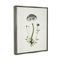 thumbnail image 4 of Stupell Industries Minimal Spotted Mushroom Botanical & Floral Painting Gray Floater Framed Canvas Art Print Wall Art, 25 x 31, 4 of 10