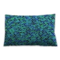 thumbnail image 1 of Ahgly Company Indoor Rectangular Contemporary Lumbar Throw Pillow, 13 inch by 19 inch, 1 of 5