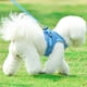 thumbnail image 2 of Conjunto de chaleco y correa para perro, arneses transpirables para mascotas, correa reflectante para el pecho, accesorios para exteriores (azul, talla XS), 2 of 8