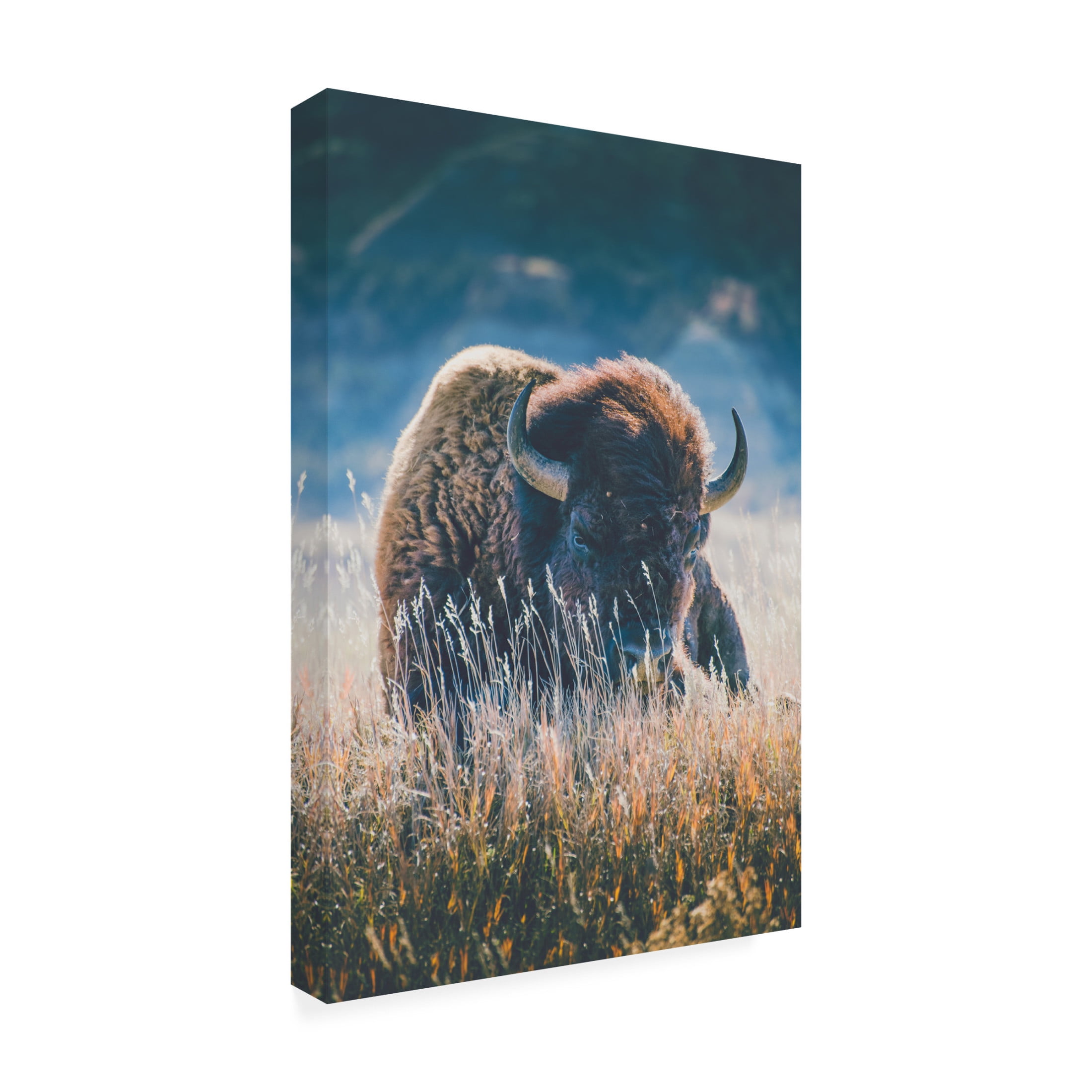 Canvas Wall Art - Annie Bailey Art 'Quiet Season' Wall Art for Living Room, Bedroom, or Office Décor by Trademark Fine Art - 12 x 19 Inches