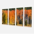 thumbnail image 2 of Fall Trees Panorama - Landscape Canvas Art Print, 2 of 3