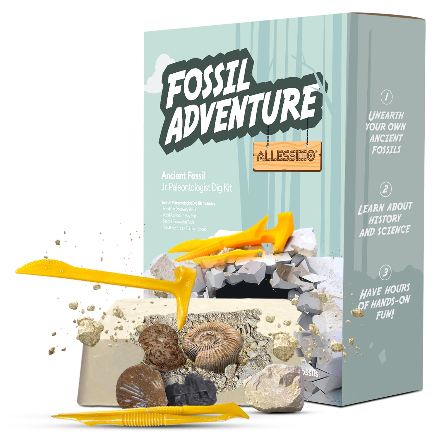 Allessimo Fossil Adventure, Ancient Fossil Jr. Paleontologist Dig Kit