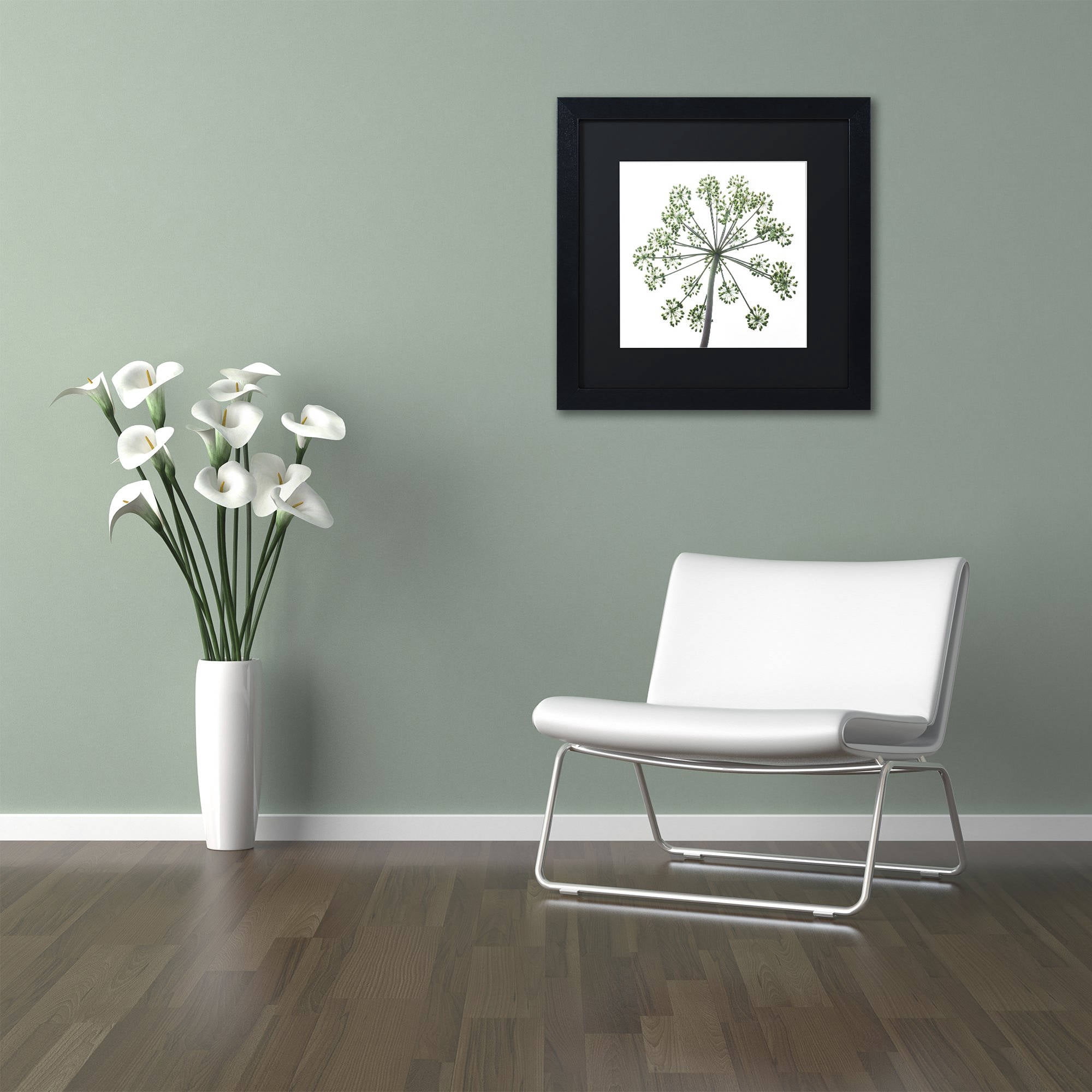 Trademark Fine Art "Nature's Amazing Wonder" Canvas Art by Kurt Shaffer, Black Matte, Black Frame