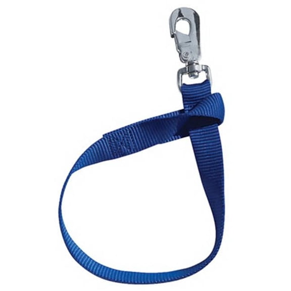 35-7065-BL 1 x 22 in. Blue Bucket Strap