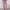 Purple, variant on Dihao Suit Pants for Women Trendy Business Office Trousers Loose Fit High Waist Suit Pants Ladies Pleated Comfy Wide Leg Pants