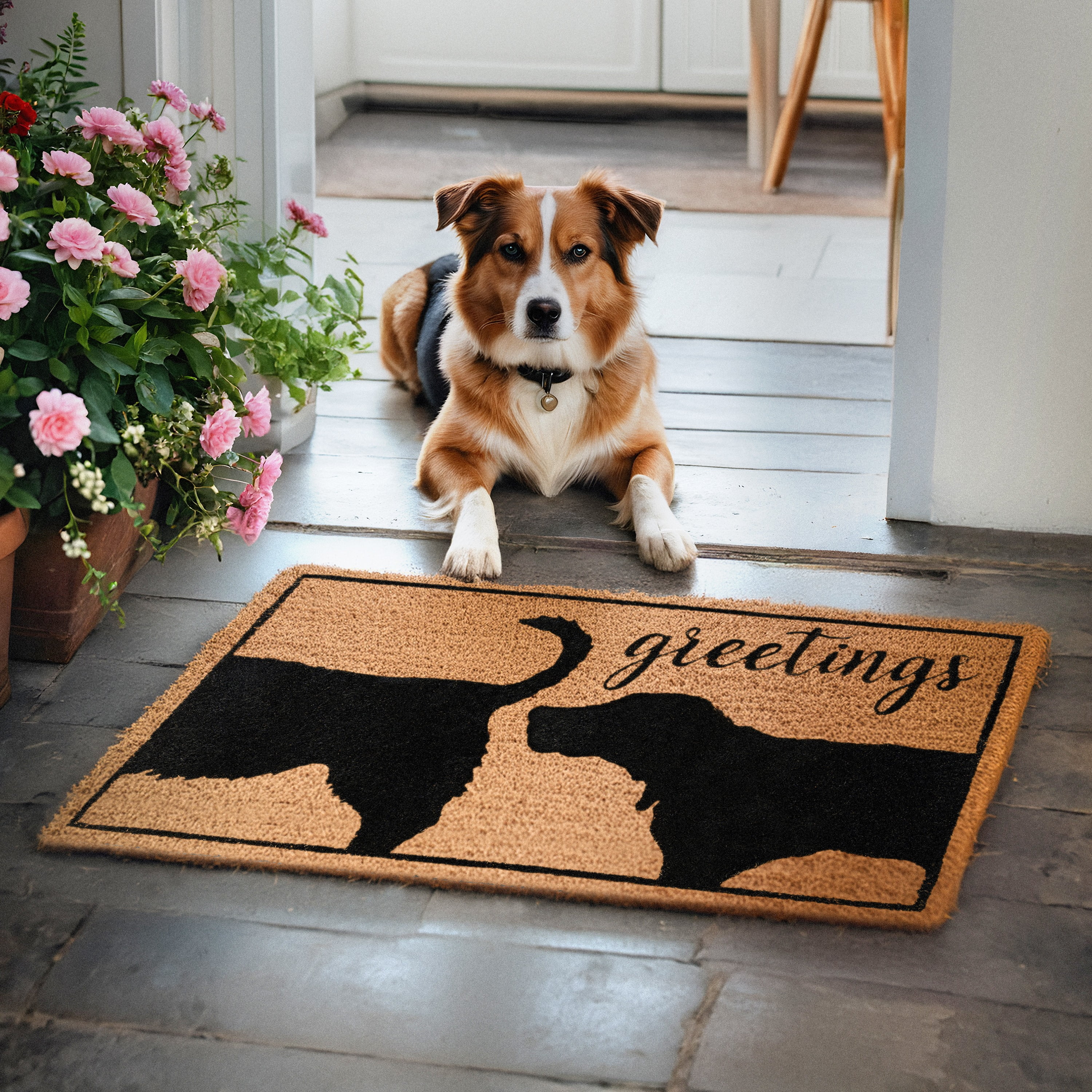 MAINEVENT Funny Dog Greetings Doormat 30x17 Inch, Outdoor Welcome Mat for Outside