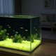 thumbnail image 3 of Pack de 200 de piedras de jardín que brillan en la oscuridad, piedras decorativas luminosas para senderos, paisajismo y decoración de acuarios para acuarios, 3 of 5