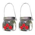 thumbnail image 1 of Paquete De 2 comederos para pájaros, comedero portátil para pájaros y flores colgante para exteriores, Compatible con jardín colgante para exteriores, 1 of 5