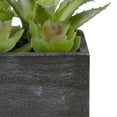 thumbnail image 5 of Northlight 10" Artificial Mixed Succulent Plants in a Rectangular Planter, 5 of 5
