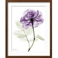 thumbnail image 2 of Art.com Purple Rose Portrait 2 Art Print by Albert Koetsier, Brown Frame Wall Art, 17" x 21", 2 of 5