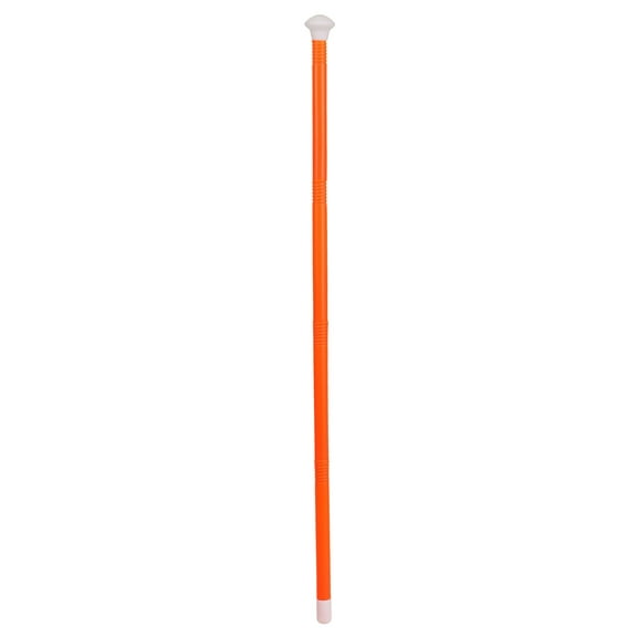 Orange Cane Costume Accessory