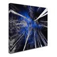thumbnail image 3 of Trademark Fine Art "Low Life" Canvas Art by Philippe Sainte-Laudy, 3 of 4
