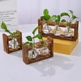 thumbnail image 2 of Dserhfy Plants Propagation Station with Wooden Stand Indoor Plant Terrarium Hydroponic Flower Holder Container Decoration Table Centerpiece, 2 of 7