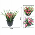 thumbnail image 3 of Planta artificial Simulación de flor artificial Planta en maceta verde Flor artificial Clivia Chlorophytum Planta en maceta Adornos decorativos Flores artificiales (rosa roja) Sailing Electrónica, 3 of 5