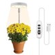 thumbnail image 1 of Luz de cultivo LED para plantas de interior de espectro completo, altura ajustable, bajo voltaje de seguridad de 5 V, idea para plantas grandes TUNC Sencillez, 1 of 5