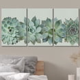 thumbnail image 3 of wall26 Canvas Print Wall Art Set Desert Succulent Variety Closeup Floral Plants Photography Realism Southwest Group Colorful Multicolor Cool for Living Room, Bedroom, Office - 16"x24"x3, 3 of 7