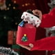 thumbnail image 3 of Caja de Regalo Navideña para Dulces | Contenedor Reutilizable de Alta Gama | Diseño Festivo de Reno y Copo de Nieve | Dulces Navideños Preenvasados, Aperitivos, Bebidas y Artículos de Papelería, 3 of 5