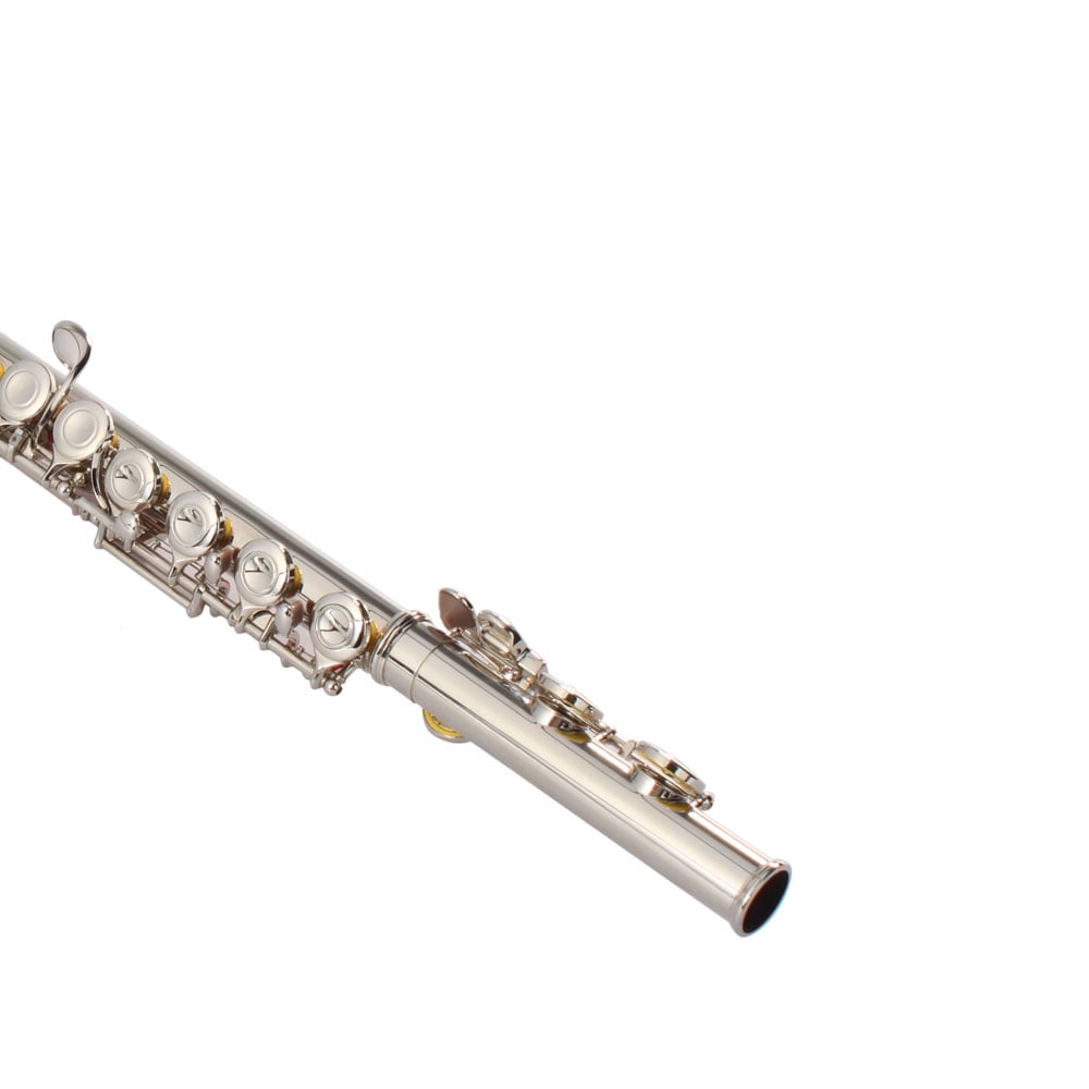Nickel Plated C Closed Hole Concert Band Flute Silver