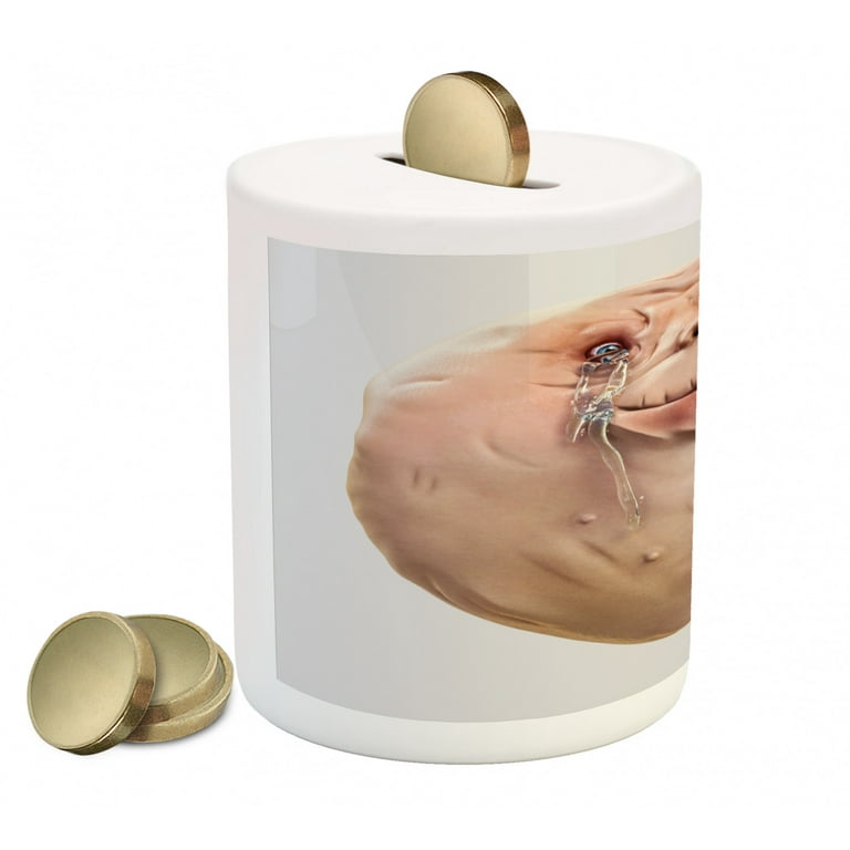 Piggy box online outlet