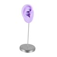 thumbnail image 2 of Modelo de oreja de silicona, parte del cuerpo, maniquí reutilizable, organizador de accesorios para exhibición Púrpura a la derecha, 2 of 9