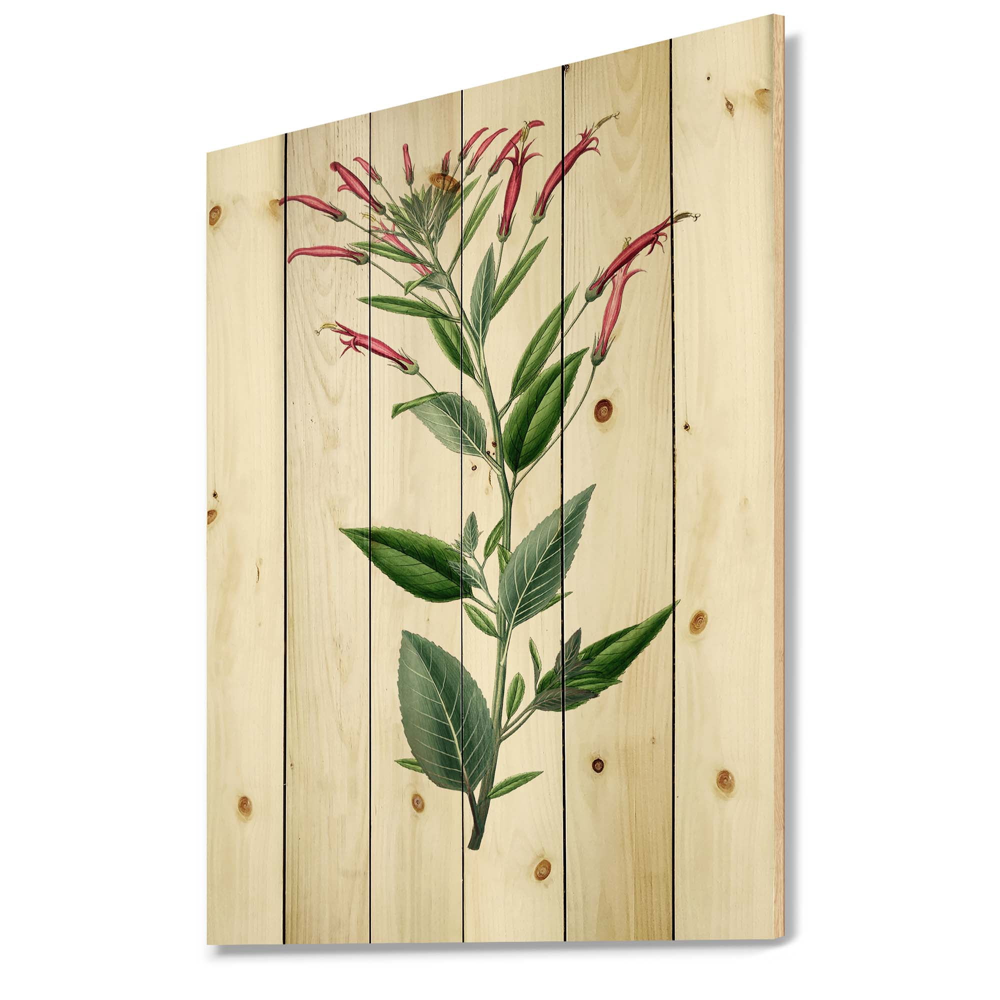 Designart 'Ancient American Flora III' Traditional Print on Natural Pine Wood