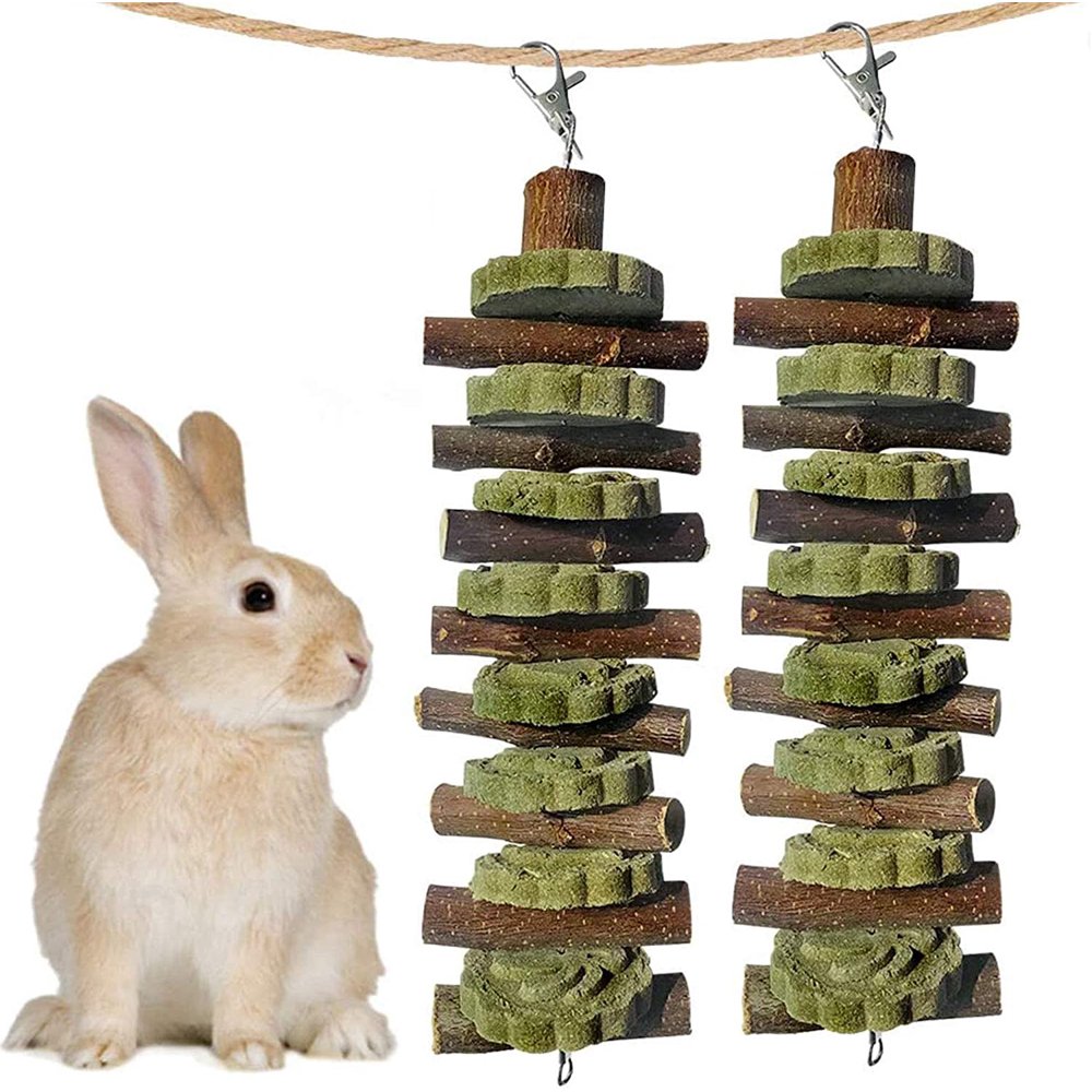 Visland 2PCS Bunny Chew Toys for Teeth Grinding, Chinchilla Treats Organic Bamboo Sticks Natural