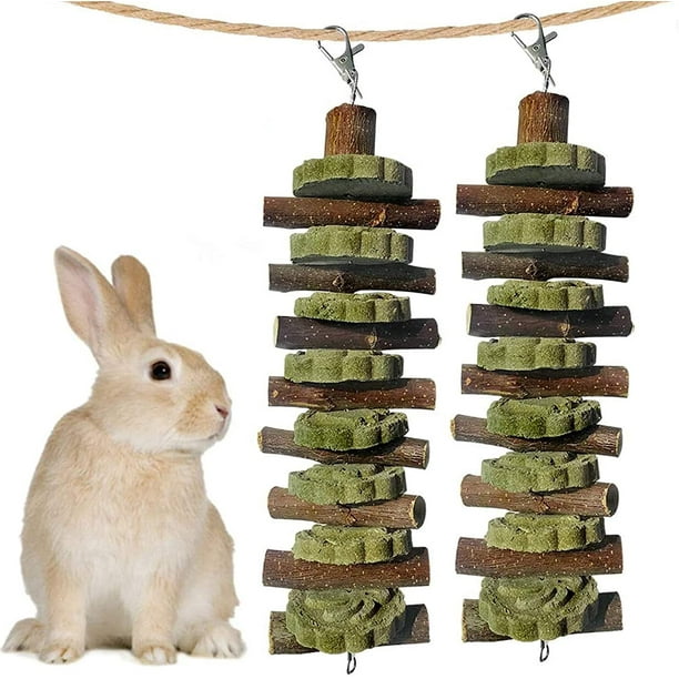 Visland 2PCS Bunny Chew Toys for Teeth Grinding, Chinchilla Treats