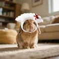thumbnail image 5 of Chapeau Halloween Dumpling Jeu de Rôle pour Chats et Chiots, 5 of 5