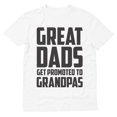 thumbnail image 1 of Tstars Mens Gifts for Dad Father's Day Shirts Funny Humor New Grandfather Gift Great Dads Get Promoted to Grandpas 1st Time Cool Best Gift for Grandpa T Shirt, 1 of 2