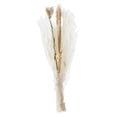 thumbnail image 4 of 30x Pampas Grass Bunch Bouquet Phragmites Reed Plants florales para Decorac Florero Cumpleaños Boda Estilo B Colco hierba de pampa seca, 4 of 7