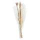 thumbnail image 5 of Ramo de flores secas de hierba de pampas real de 60 ramas para bodas, ideal para gabinetes cereal de trigo, 5 of 9