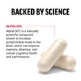 thumbnail image 2 of Suplemento cerebral Force Factor Alpha GPC 300 mg 60 cápsulas, 2 of 9