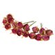 thumbnail image 4 of Ramo de flores artificiales de camelia preservada, 60 unidades, para novia, dama de honor, con flores para el hogar, la oficina, la boda, la fiesta, decoración artística. Rosa roja, 4 of 9