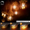 thumbnail image 2 of Bombillas LED Edison LUXON de cristal ámbar regulable, 4 W, 2700 K, E26, paquete de 6, 2 of 7