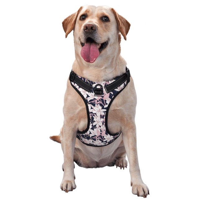 Balery Lilies Flowers Arnés para Perros Grandes Antitirones, Arnés con Correa para Gato, Arnés Tipo Chaleco para Perros Pequeños-Large
