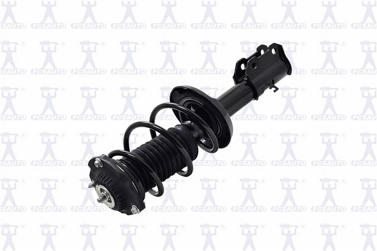Suspension Strut and Coil Spring Assembly