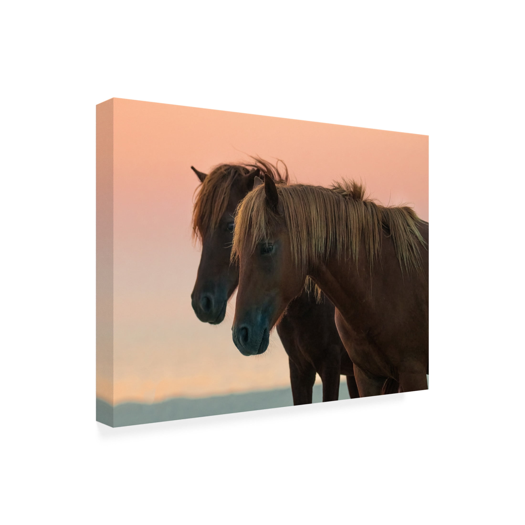Trademark Fine Art Wenjin Yu Looking Forward Canvas Wall Art