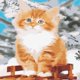 thumbnail image 3 of Kit de bricoje Pintura al por números Dibujo con pinceles Decoración sin marco para principiantes - 40 * 50cm - Gato color BLESIY Pintura por kits de los números, 3 of 8