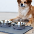 thumbnail image 4 of Messy Mutts Stainless Steel Heavy Gauge Bowl with Non-Slip Removable Silicone Base | Durable Indoor/Outdoor Dog Bowl | Warm Grey | Large, 4.5 Cups, 4 of 7