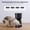 Black, variant on Automatic Cat Feeder and Water Dispenser FW1, Wire or Battery Cat Food Dispenser Timer Pet Feeder - Locking Lid, Desiccant Bag, Programmable Portion Control, 4 Daily Meals, 10s Voice Recorder-Blue