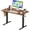 Rust Brown, variant on HarmonyStrings Electric Standing Desk Home Office Height Adjustable Computer Ergonomic Table
