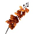 thumbnail image 1 of Artificial Fake Silk Flower 9 Heads DIY Phalaenopsis Butterfly Orchid for Home, 1 of 5