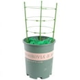 thumbnail image 6 of Plant Support Cage Rust Resistant Garden Plant Support Ring Plant Stake Plant Support for Tomato, Trellis, Climbing Plant, Flower, 17.7" High, 6 of 8